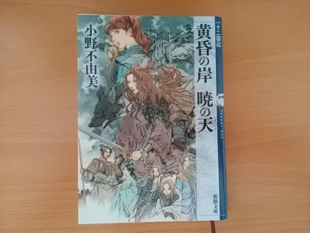 全てが順調だったはずの王朝はたったの半年で崩壊してしまう 王と麒麟は消息不明のまま6年の月日が流れ 国は荒れ妖魔が湧き出し戴国は滅亡へと突き進んでいた 新しい麒麟は生まれず 天の救いがない絶望的